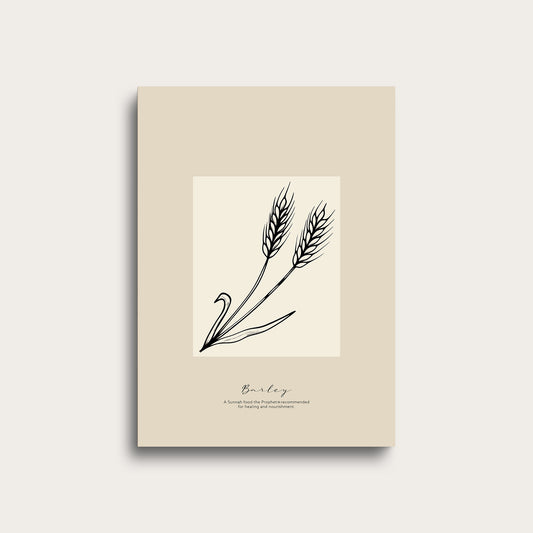 Sunnah Foods Drawing | Barley