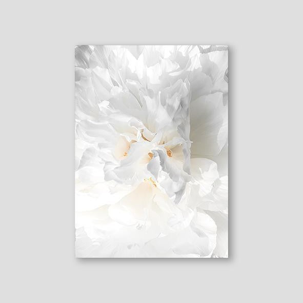 White Flower - Doenvang