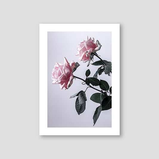 Two Pink Roses Sideways - Doenvang