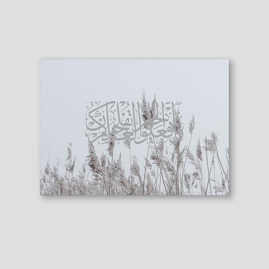 Al Hajj Reeds - Doenvang