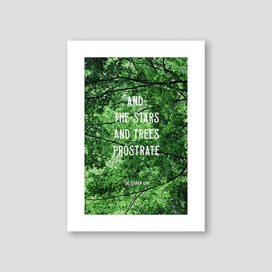 And the Stars and Trees - Doenvang