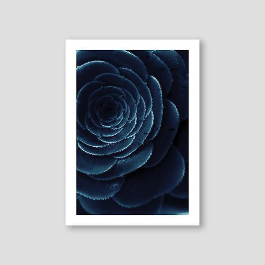 Sempervivum Blue #2 - Doenvang