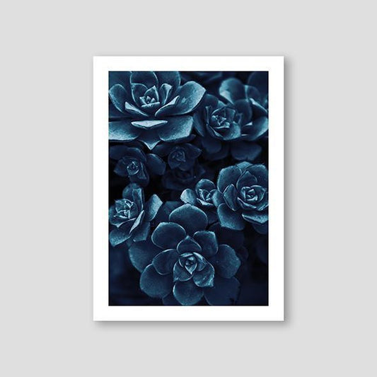 Sempervivum Blue #3 - Doenvang