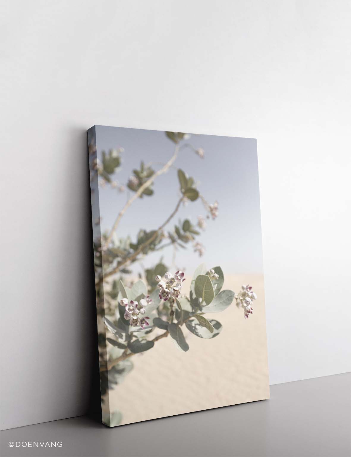 CANVAS | Desert Flower #1