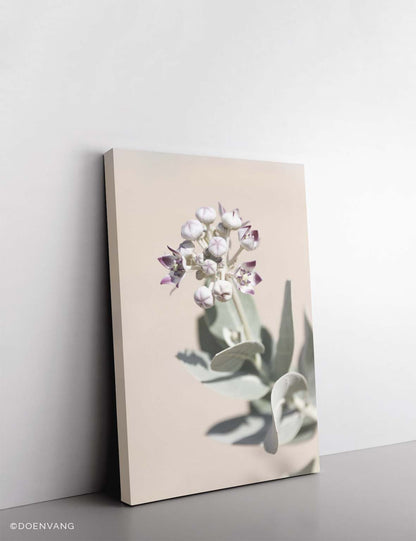 CANVAS | Desert Flower #2