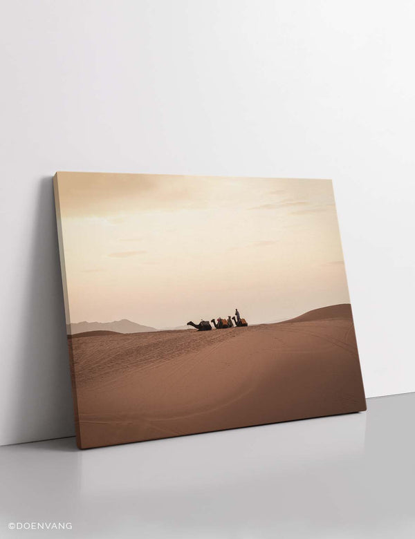 CANVAS | Sahara Desert Camels | Morocco 2021