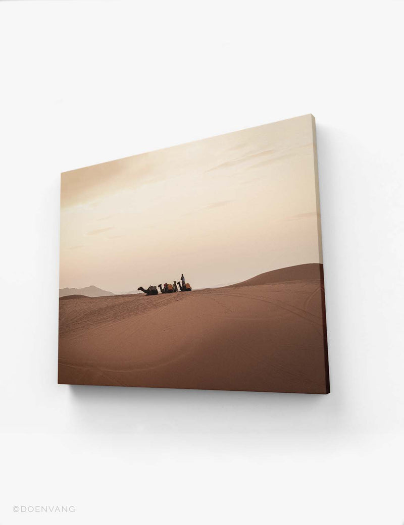 CANVAS | Sahara Desert Camels | Morocco 2021