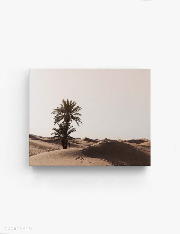 CANVAS | Sahara Desert Tree | Morocco 2021