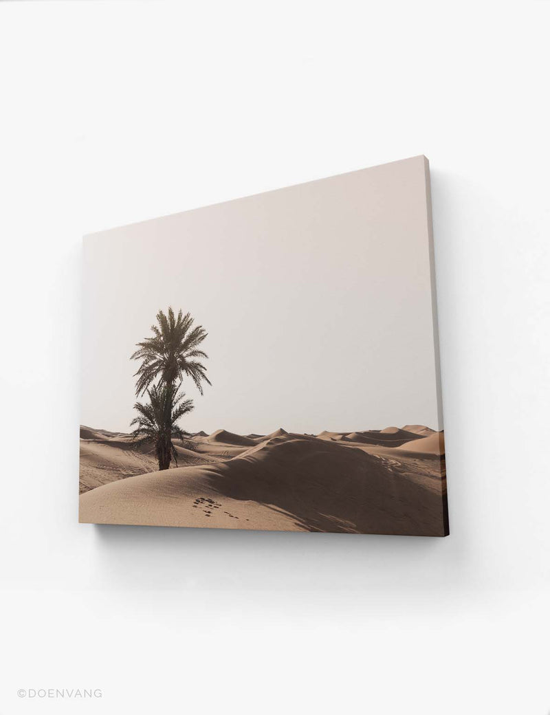 CANVAS | Sahara Desert Tree | Morocco 2021