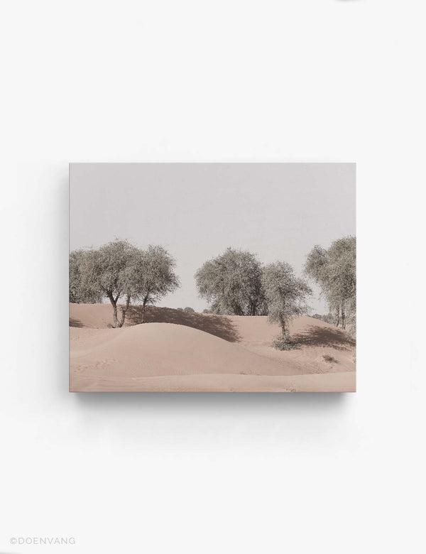 CANVAS | Desert Trees #2 | UAE 2021