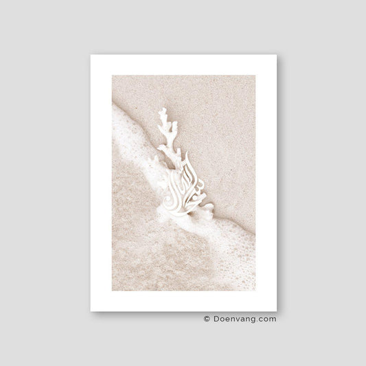 Coral Maldives 2020 #2, SubhanAllah