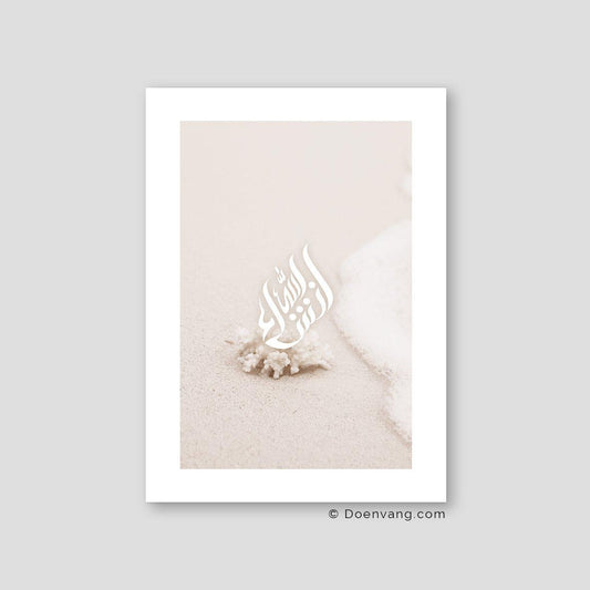 Coral Maldives 2020 #3, InshaAllah