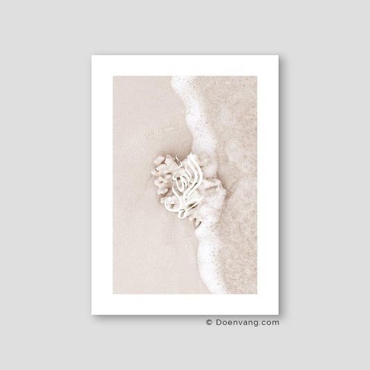 Coral Maldives 2020 #1, Alhamdulillah