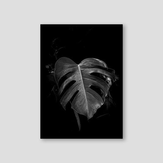 Monstera Black - Doenvang