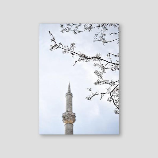 Dilara Photography, Ortaköy Mosque #2 - Doenvang