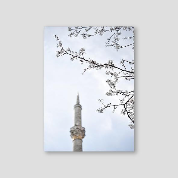 Dilara Photography, Ortaköy Mosque #2 - Doenvang