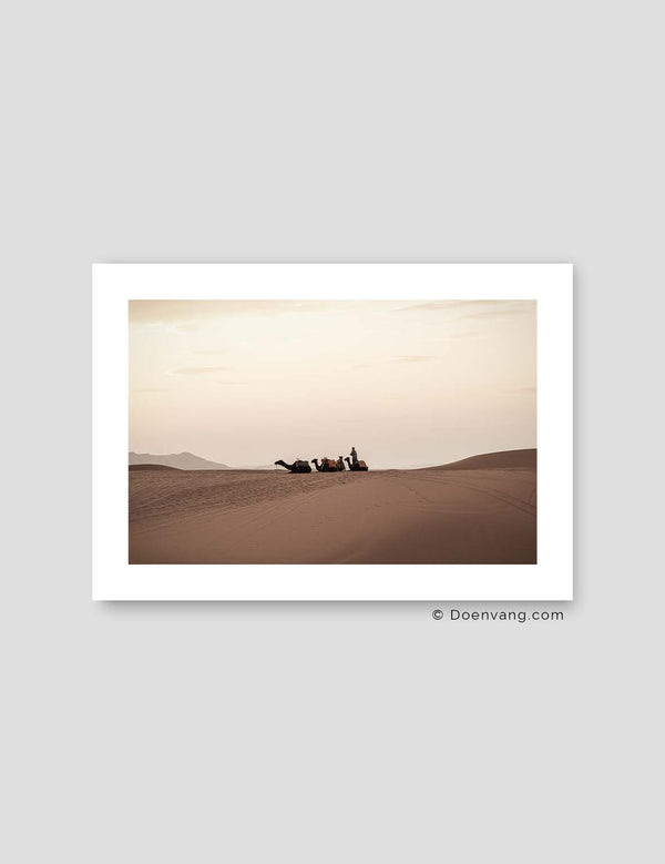 Sahara Camels, Morocco 2021