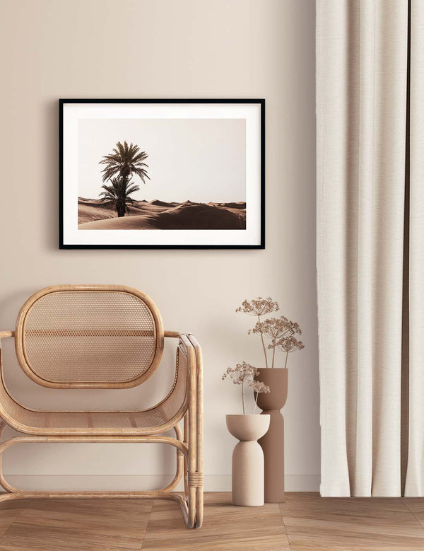 Sahara Palm, Morocco 2021