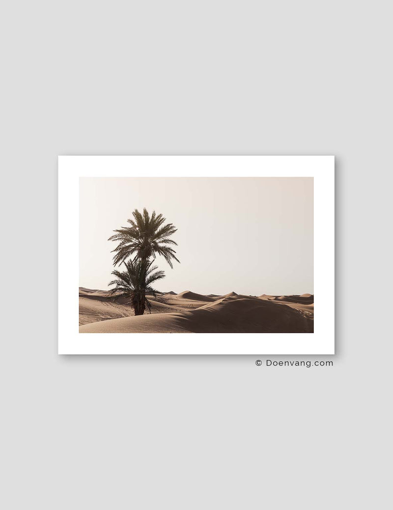 Sahara Palm, Morocco 2021