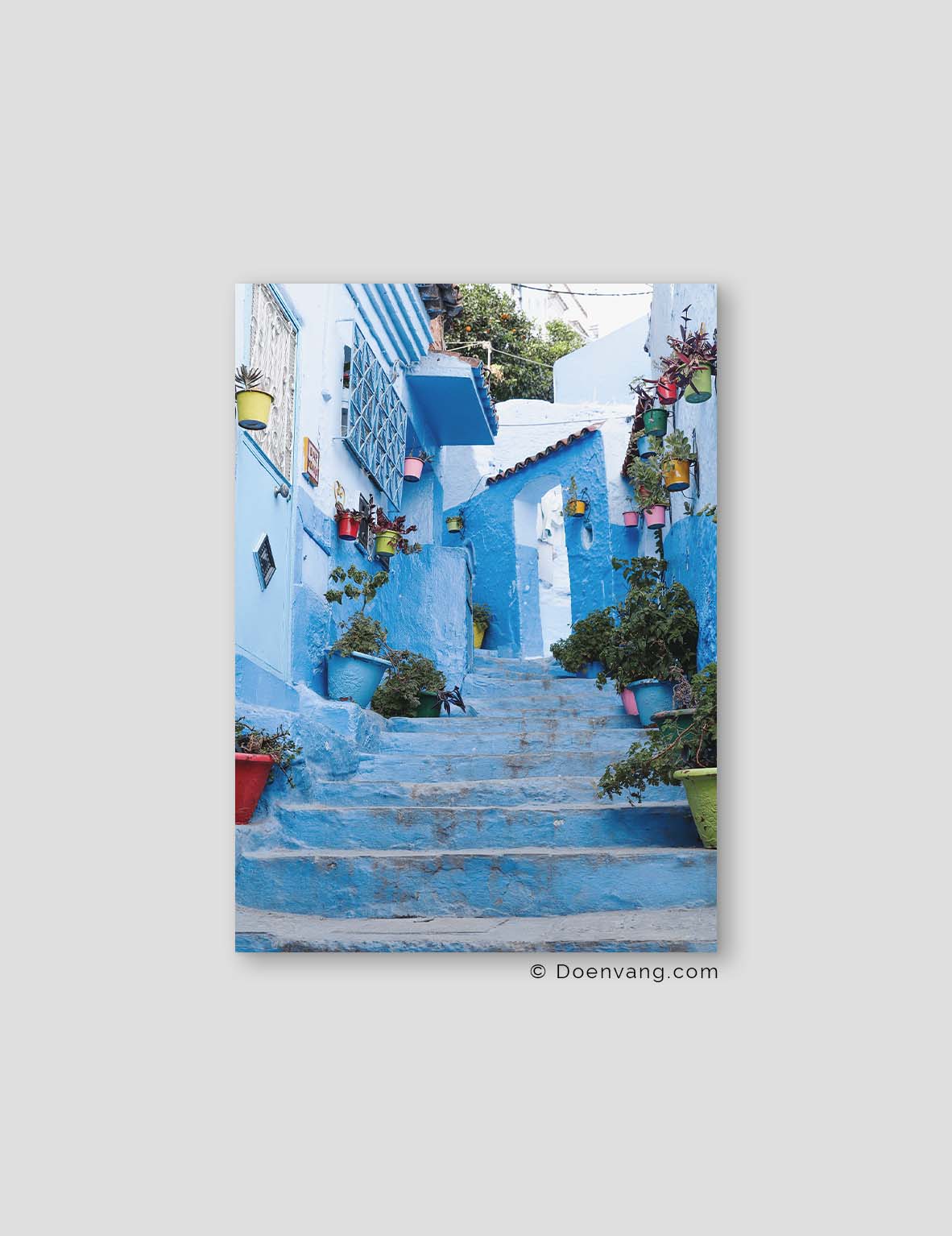 Chefchaouen #5 | Morocco 2021