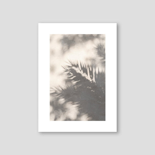 Palm Leaves Shadows, UAE 2020 - Doenvang