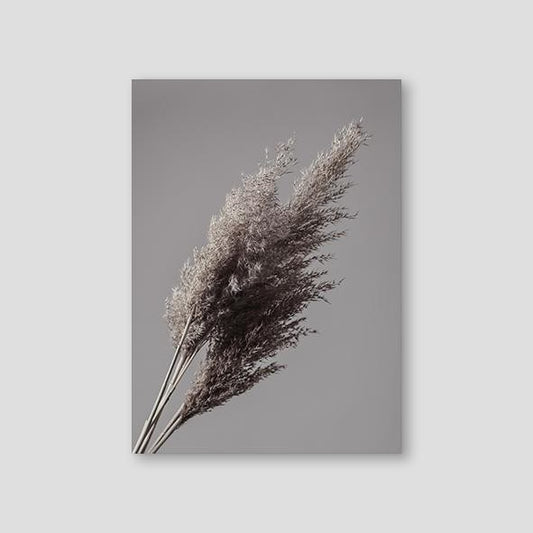 Grey Reeds #1 - Doenvang