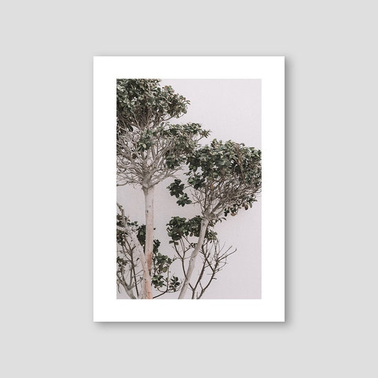 Bush Dubai, UAE 2020 - Doenvang