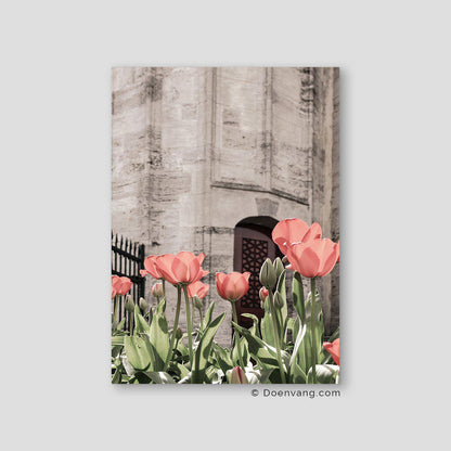 Tulips and Mosque, Istanbul - Doenvang