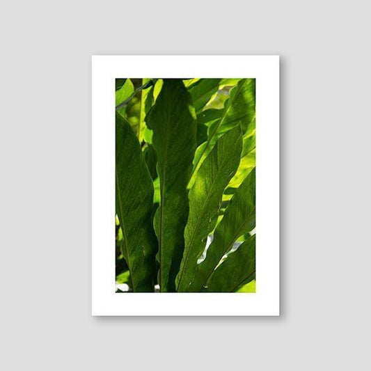 Vibrant Green - Doenvang