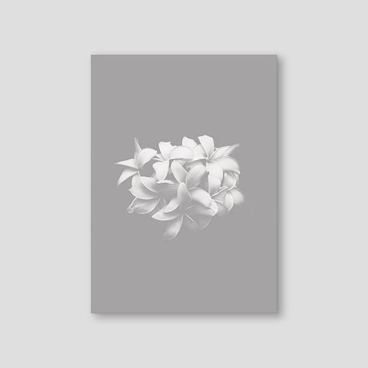 Asian Yasmin Grey - Doenvang